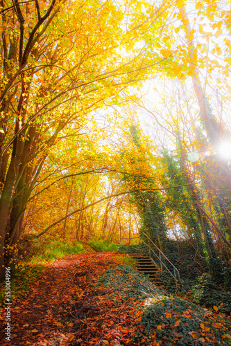Obraz na płótnie Colourful Autumn Outdoor Nature Landscape Scene w salonie