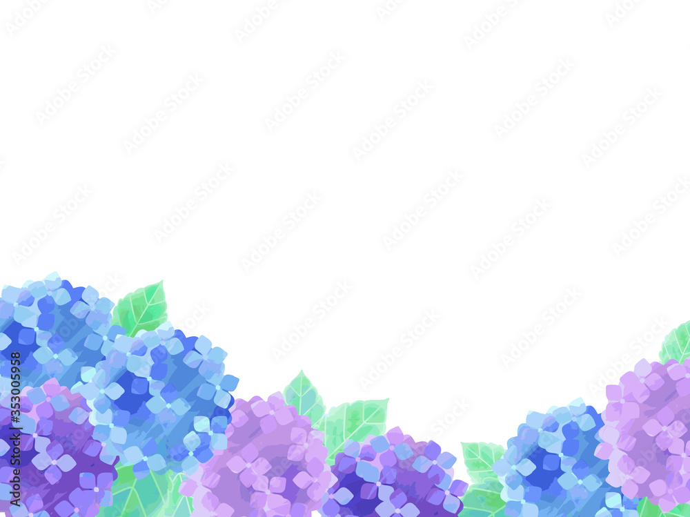 青と紫の紫陽花の花のイラスト背景 水彩風stock Vector Adobe Stock