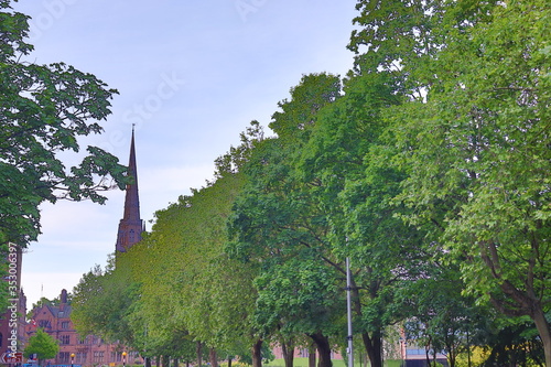 trees in the city and tower