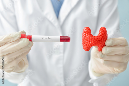 Doctor with model of thyroid gland and blood sample in test tube, closeup photo