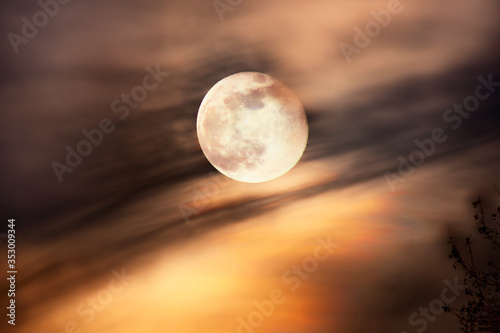 Full moon with red sunset lit clouds in the background. The clouds and the bush in the foreground are blurry because they move with the wind.