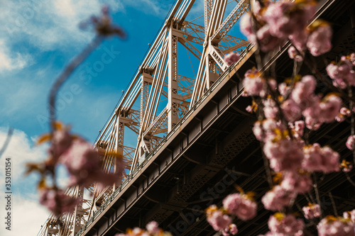 bridge over the river in the city