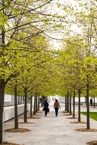 walking in the park