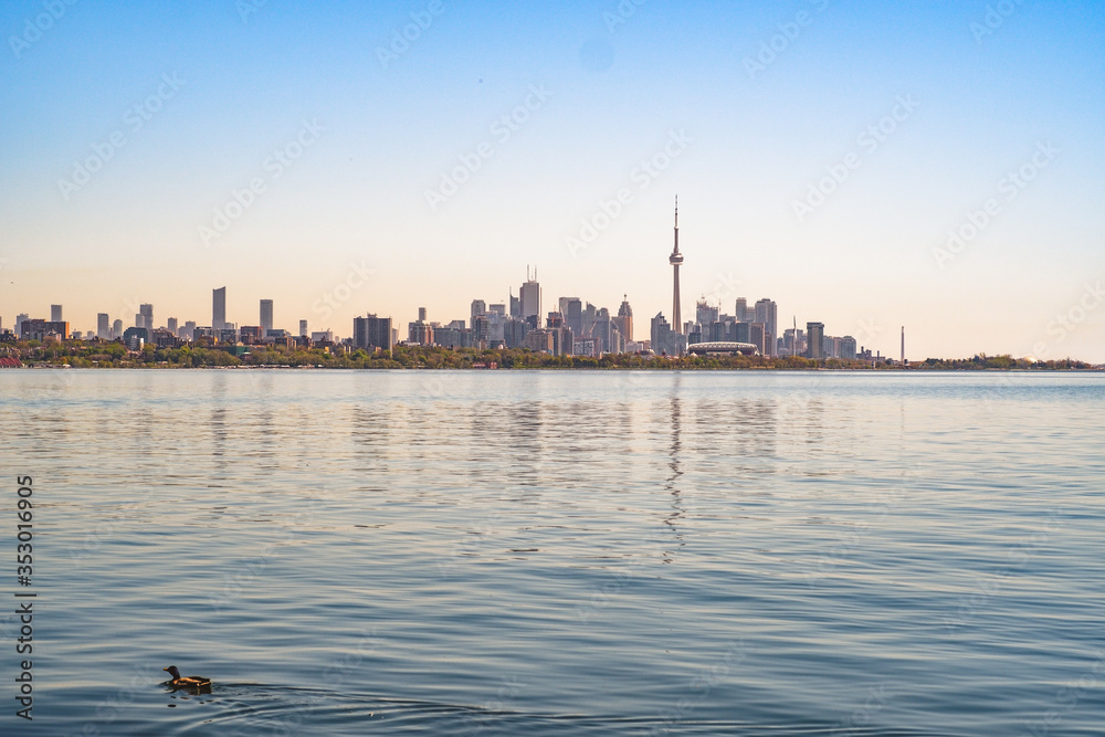 Panoramic view of Toronto skyline over the Ontario Lake during the golden hour, Canada
