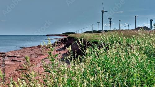 Beautiful scenery on the northern most point of Prince Edward Island. In this area called  North Cape or Tignish  the natural rock reefs are exposed  flowers are blooming  and windmills are turning.
