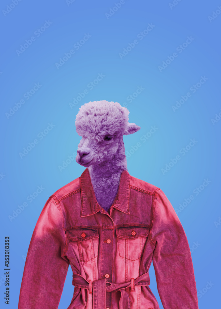A tinted image of an Alpaca head in a denim jacket.