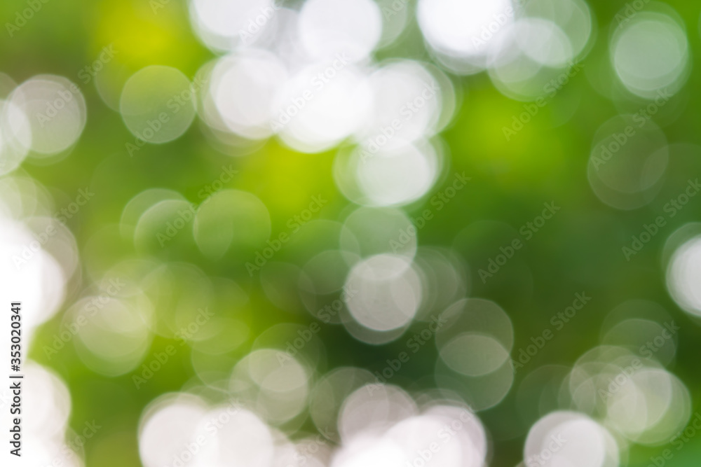 Fototapeta premium green bokeh background,green bokeh,green bokeh abstract