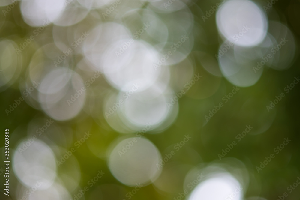 Obraz premium Natural bokeh is reflected from trees. On the ground is light green.