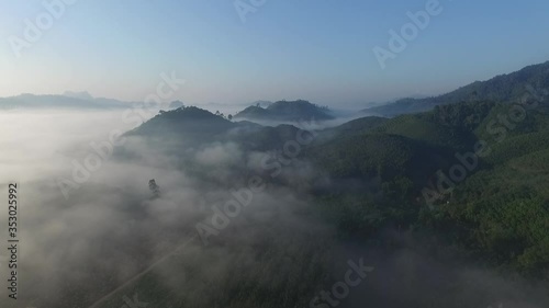 Wallpaper Mural misty morning in the mountains at thailand Torontodigital.ca