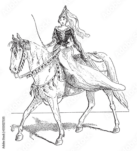 Haquenee (horse), vintage illustration.