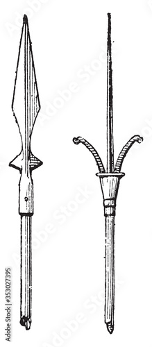 Haste spear, vintage illustration.