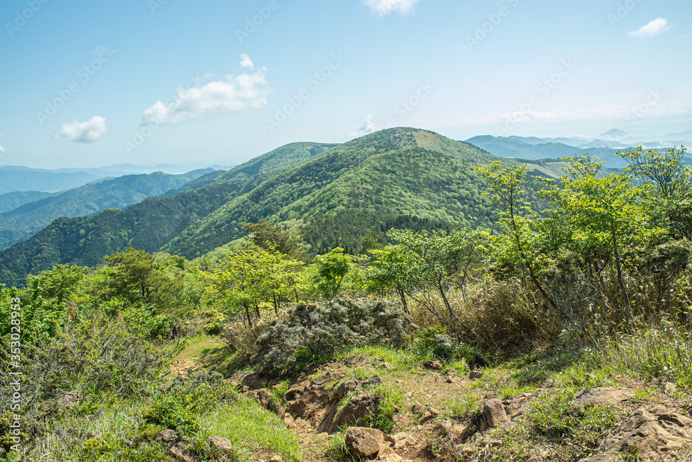 Fototapeta premium 京都・大江山系を朝のトレッキング