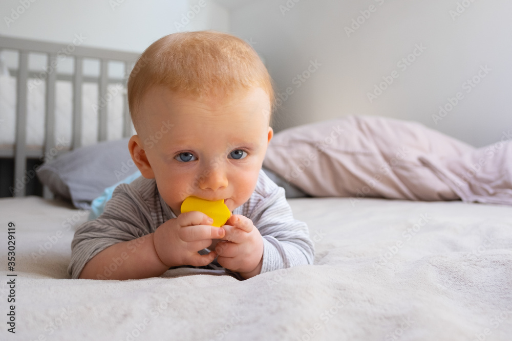 Cute red-haired baby biting rubber toy and looking at camera. Toddler with toy laying on soft blanket. Childhood and staying at home concept Cute red-haired baby biting rubber toy and looking at camera. Toddler with toy laying on soft blanket. Childhood and staying at home concept