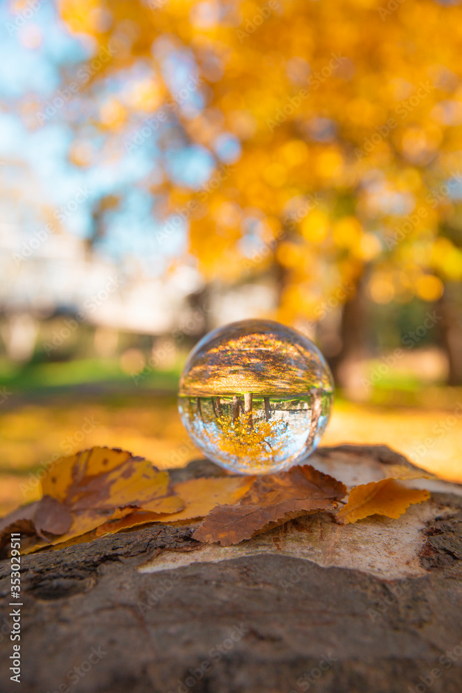 Colourful Autumn Outdoor Nature Landscape Scene with Lens Ball