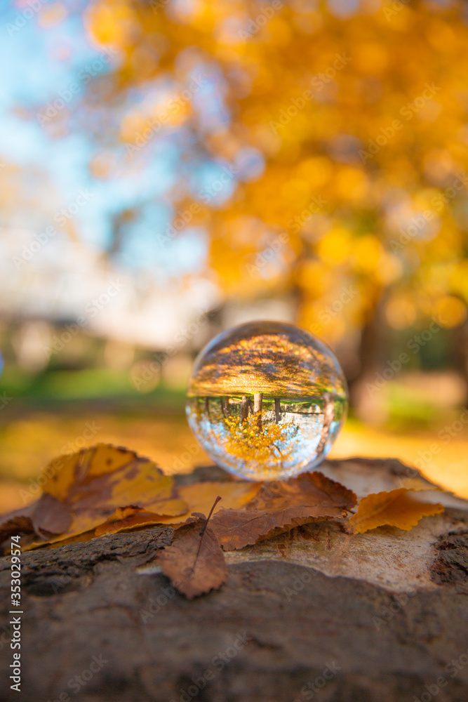 Colourful Autumn Outdoor Nature Landscape Scene with Lens Ball