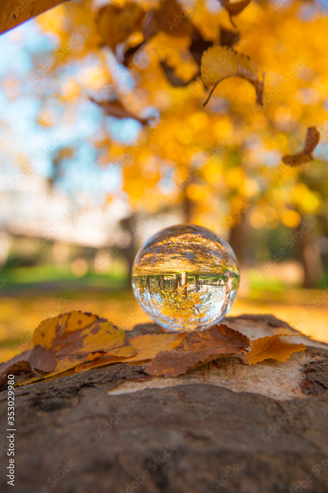 Colourful Autumn Outdoor Nature Landscape Scene with Lens Ball