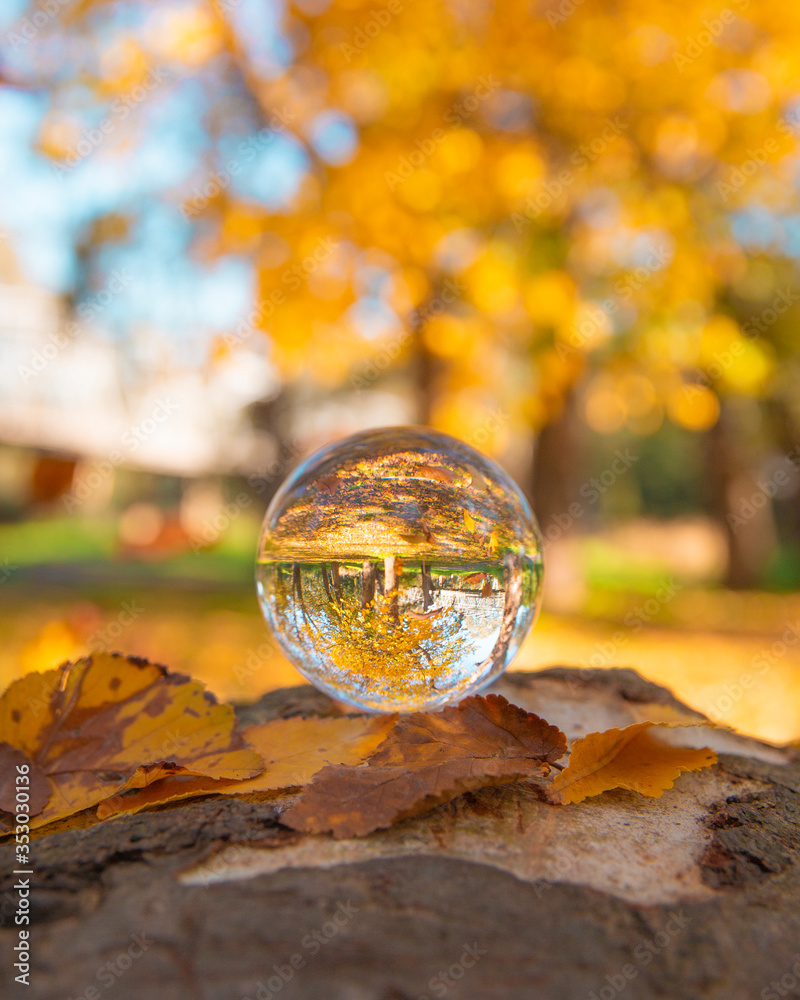 Colourful Autumn Outdoor Nature Landscape Scene with Lens Ball