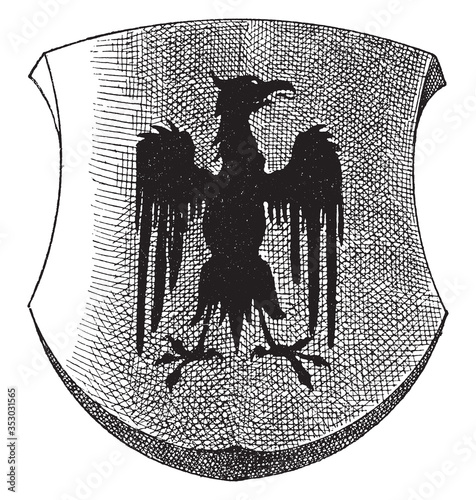 Shield (XIV century), vintage illustration.