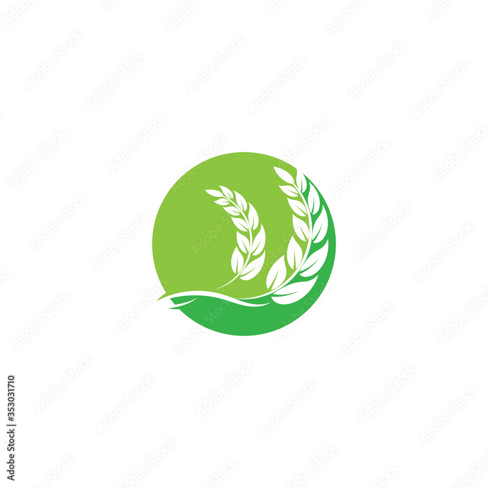 Leaf Logo Template vector symbol Leaf Logo Template vector symbol