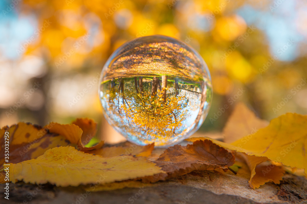 Colourful Autumn Outdoor Nature Landscape Scene with Lens Ball