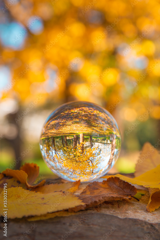 Colourful Autumn Outdoor Nature Landscape Scene with Lens Ball