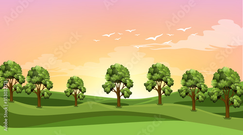 Scene with many trees in the field