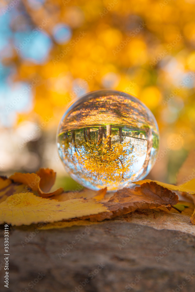 Colourful Autumn Outdoor Nature Landscape Scene with Lens Ball