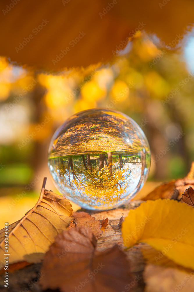 Colourful Autumn Outdoor Nature Landscape Scene with Lens Ball