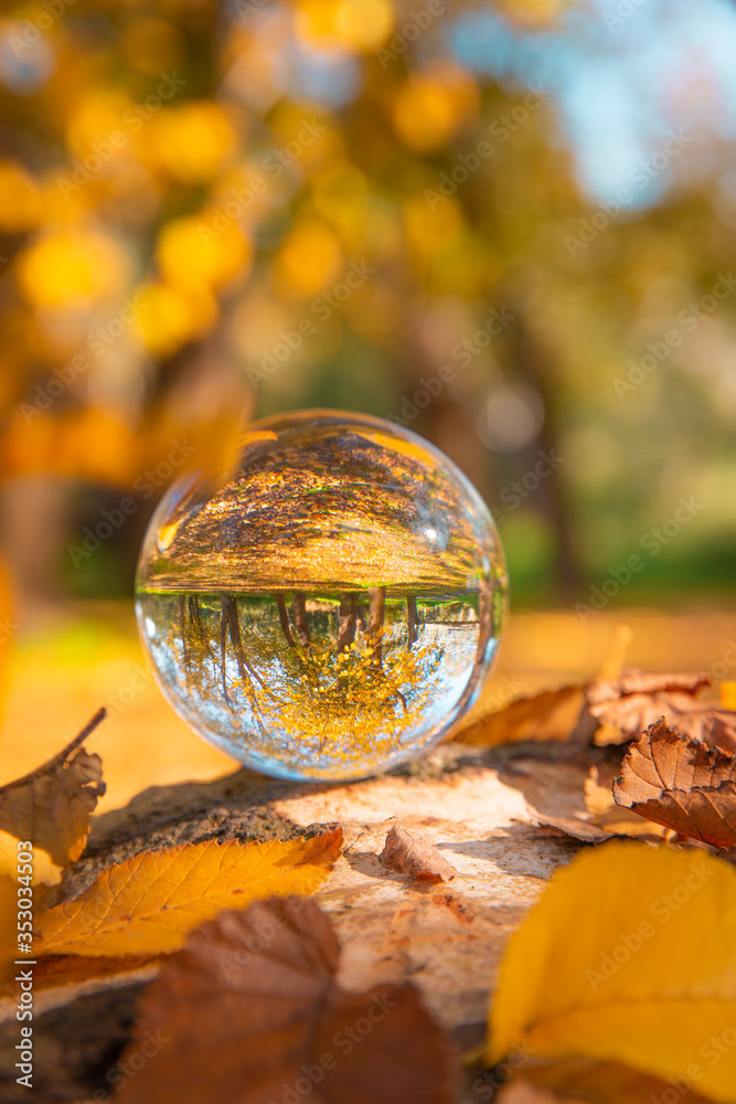 Colourful Autumn Outdoor Nature Landscape Scene with Lens Ball