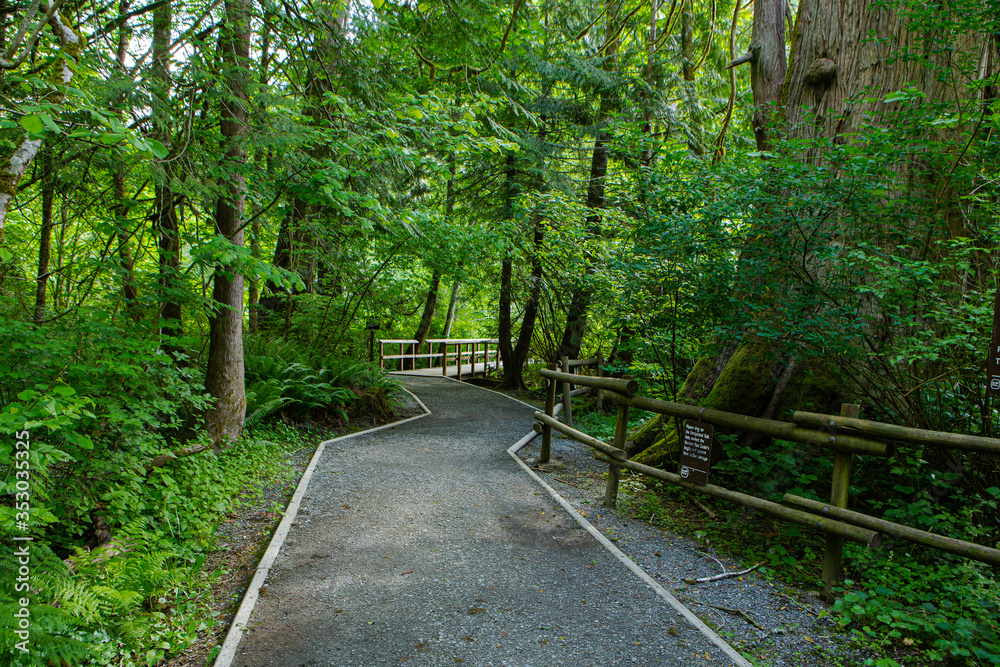 Hiking trail in Goldstream Provincial Park, Vancouver Island, Bristish Colombia, Canada Hiking trail in Goldstream Provincial Park, Vancouver Island, Bristish Colombia, Canada
