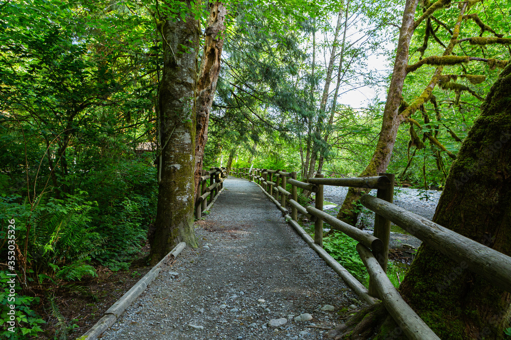 Hiking trail in Goldstream Provincial Park, Vancouver Island, Bristish Colombia, Canada Hiking trail in Goldstream Provincial Park, Vancouver Island, Bristish Colombia, Canada
