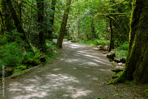 Hiking trail in Goldstream Provincial Park, Vancouver Island, Bristish Colombia, Canada © JoelBourgoin