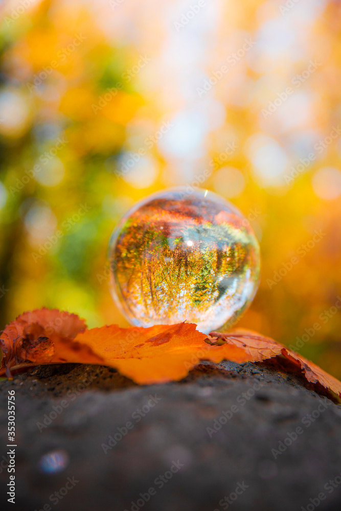 Colourful Autumn Outdoor Nature Landscape Scene with Lens Ball