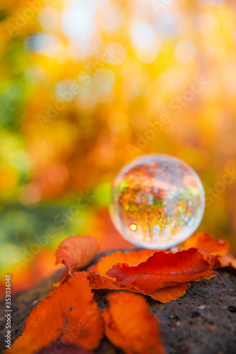 Obraz na płótnie Colourful Autumn Outdoor Nature Landscape Scene with Lens Ball w salonie
