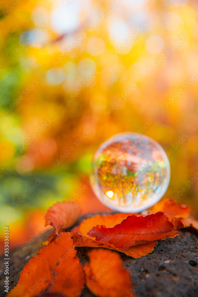 Colourful Autumn Outdoor Nature Landscape Scene with Lens Ball