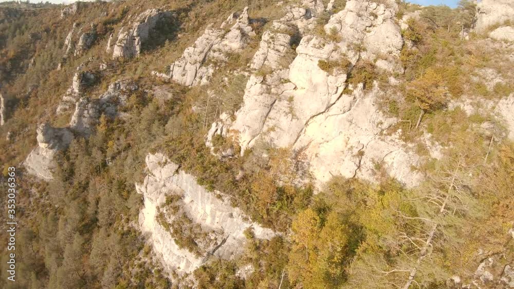 Flying with a couple of griffon vultures at sunset above a beautiful canyon in a national park in Gorges du Tarn, France. Flying with a couple of griffon vultures at sunset above a beautiful canyon in a national park in Gorges du Tarn, France.