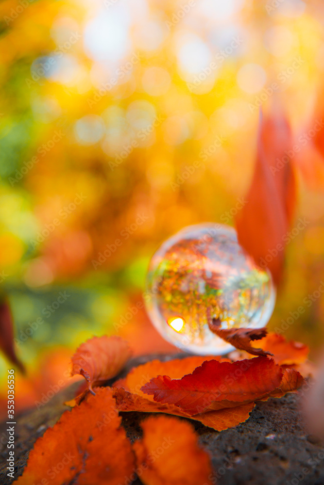 Colourful Autumn Outdoor Nature Landscape Scene with Lens Ball