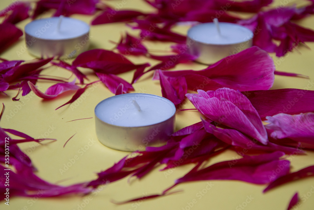 Pink colored peony petals and white tea candles, background. Burgundy peonies, flat lay, floral wedding, valentine's day backdrop concept Pink colored peony petals and white tea candles, background. Burgundy peonies, flat lay, floral wedding, valentine's day backdrop concept