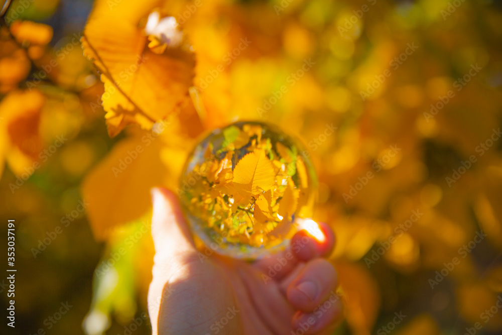 Colourful Autumn Outdoor Nature Landscape Scene with Lens Ball