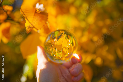 Obraz na płótnie Colourful Autumn Outdoor Nature Landscape Scene with Lens Ball w salonie