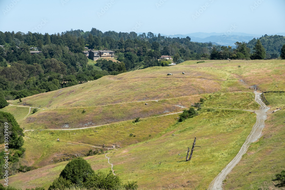 Mountain biking on hillside - grassland - Oakland, CA - May 9, 2020
