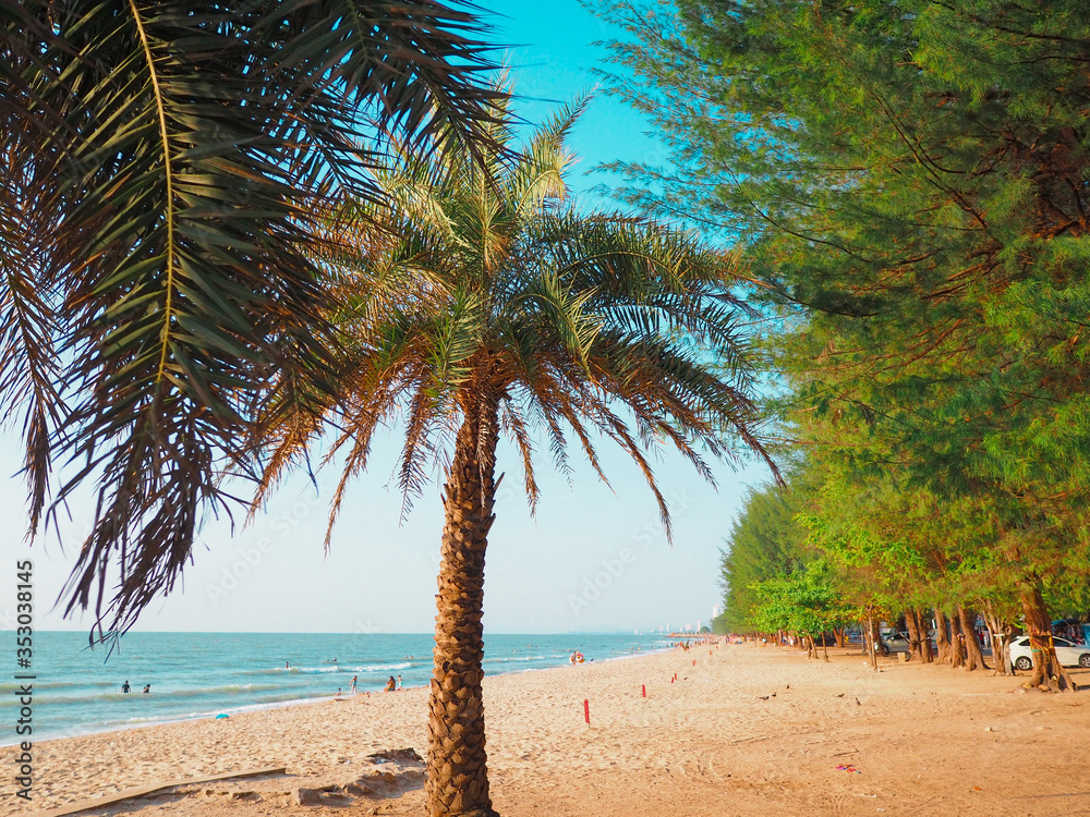 Palm tree on seascape background with cleared blue sky Palm tree on seascape background with cleared blue sky