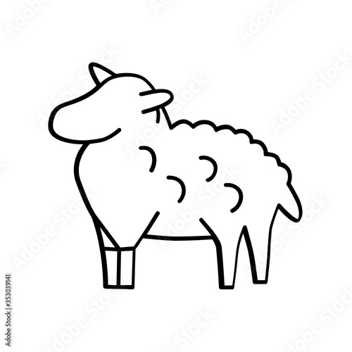 Schaf 