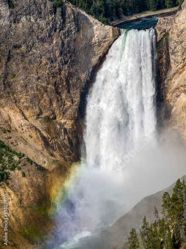 Lower Falls of the Yellowstone River  a tall  powerful waterfall in Yellowstone National Park  Wyoming  plunges into the beautiful deep Grand Canyon of the Yellowstone graced by a rainbow in the mist.