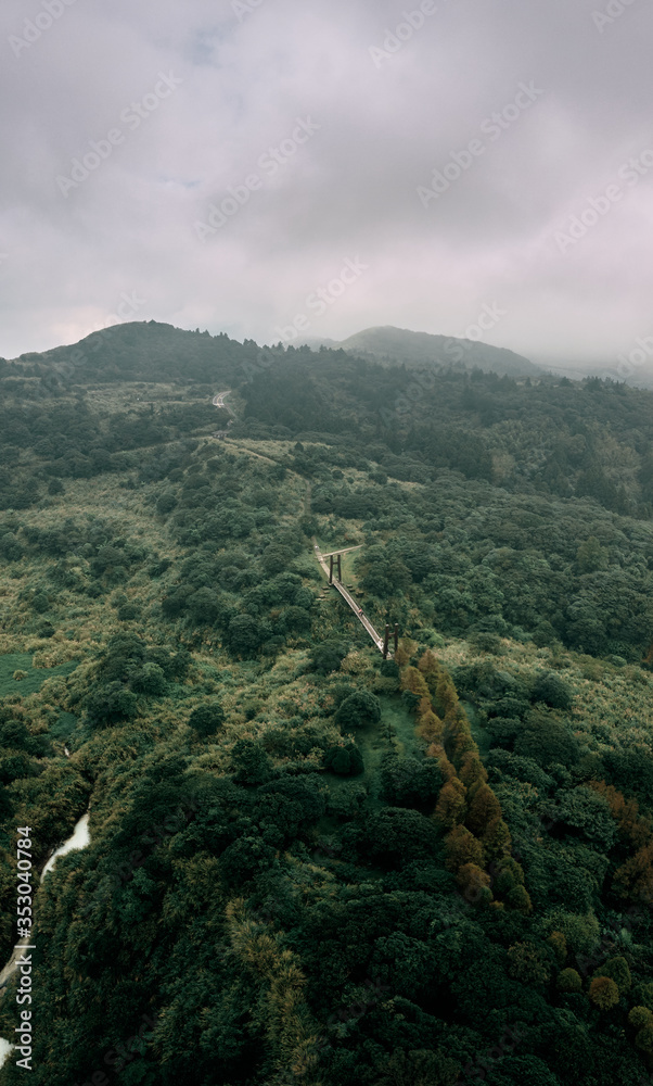 Fototapeta premium aerial view of the forest with suspension bridge