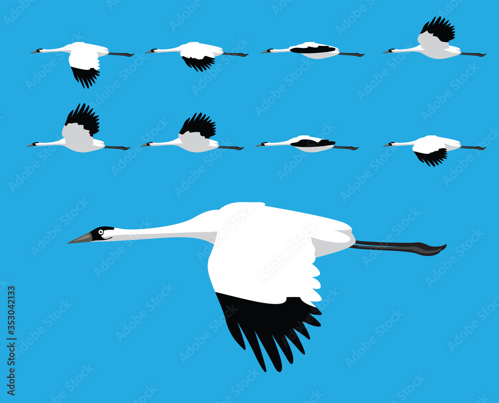 Bird Whooping Crane Flying Cartoon Vector Animation Frame Stock Vector |  Adobe Stock