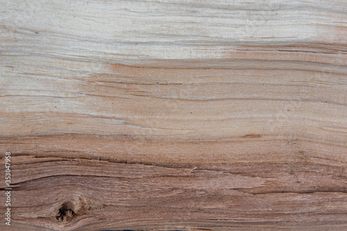 closeup photo of old wood. background and texture of the timber