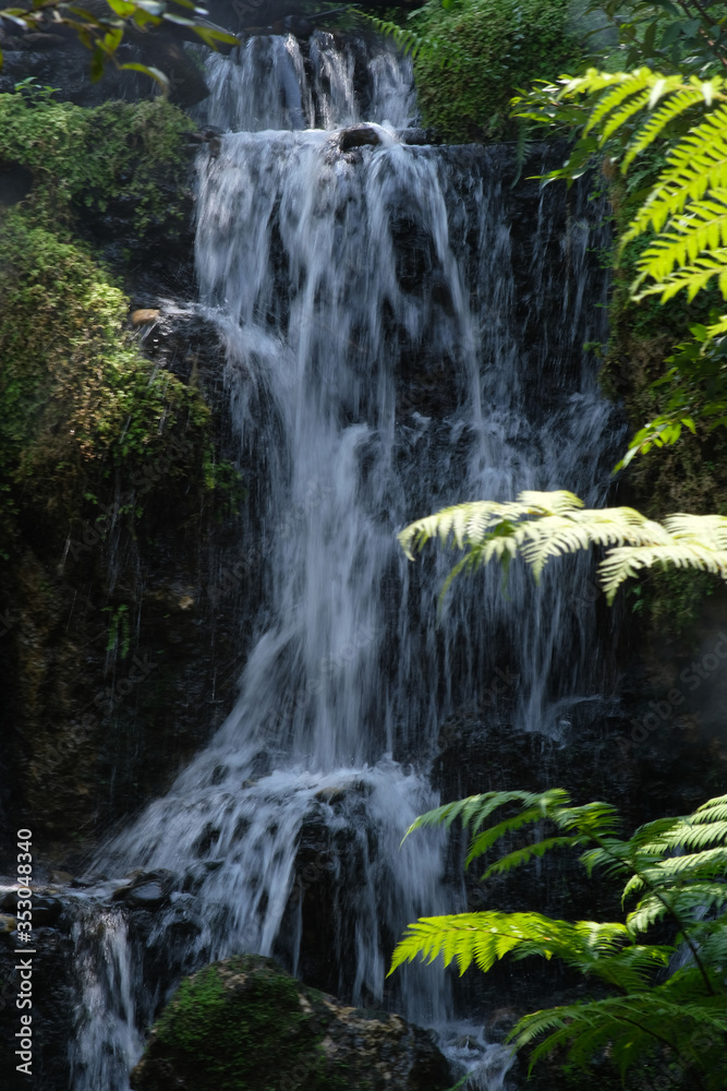 waterfall in the forest wallpaper background