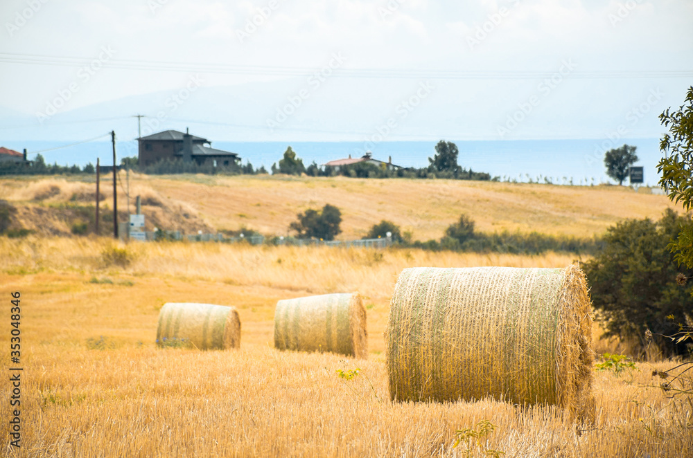 Golden Hay Bales Field Landscape