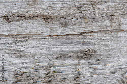 closeup photo of old wood. background and texture of the timber